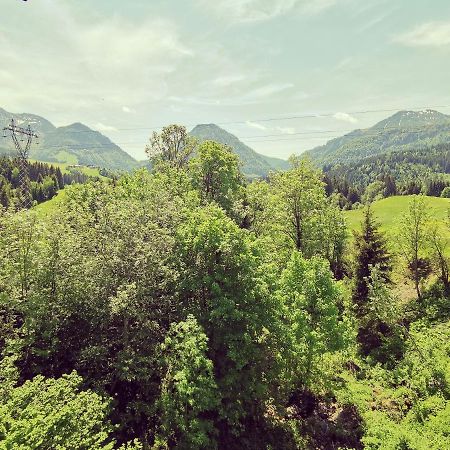 Ferienwohnung Grabner Fieberbrunn Dış mekan fotoğraf